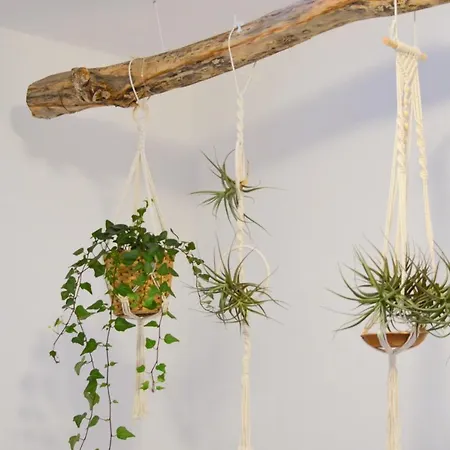 Casa Ninin 아파트