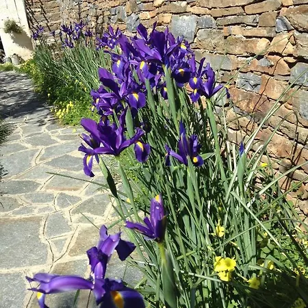 Casa Ninin *