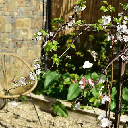 Casa Ninin * 알라시오