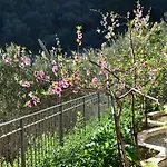 Casa Ninin דירה אלסיו