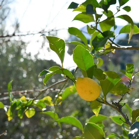 Casa Ninin Apartman Alassio