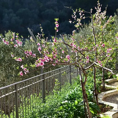 Casa Ninin Apartman Alassio