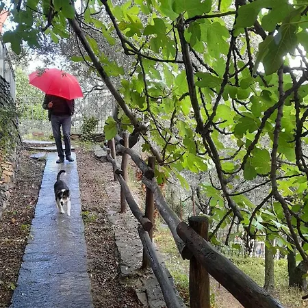 Casa Ninin * Alassio