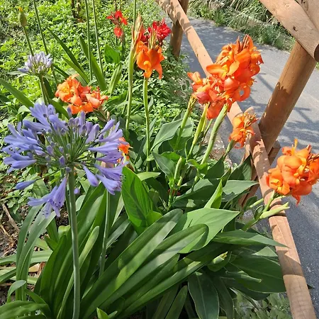 Apartman Casa Ninin Alassio