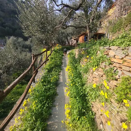 Casa Ninin