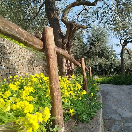 Casa Ninin 알라시오