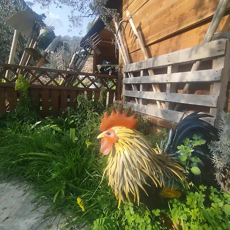 아파트 Casa Ninin 알라시오