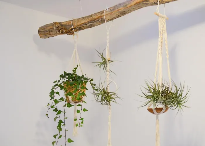 Casa Ninin Apartment