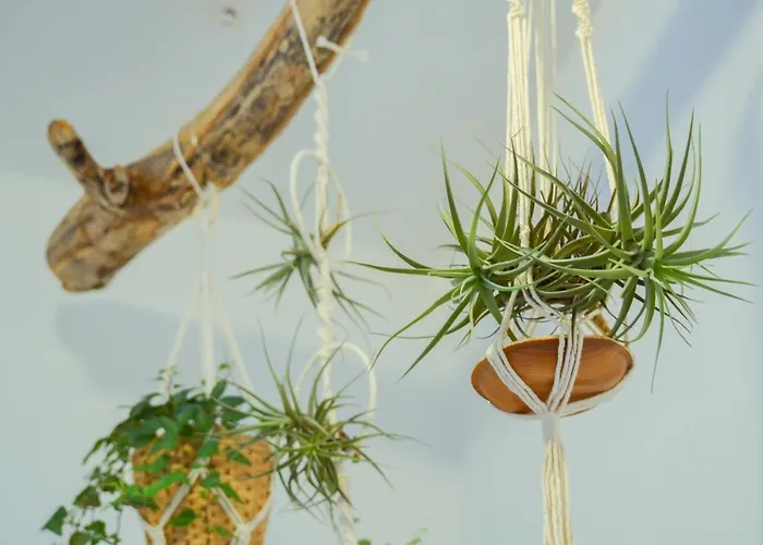 Apartment Casa Ninin Alassio