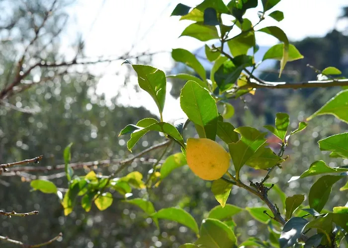 Casa Ninin Lejlighed Alassio
