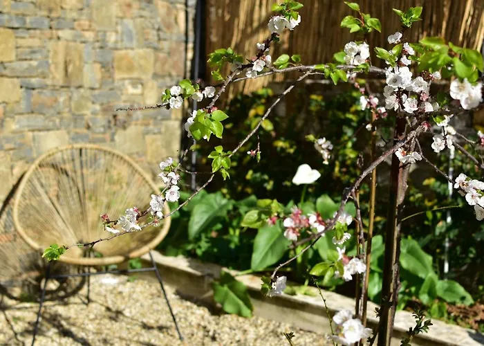 Casa Ninin * Alassio