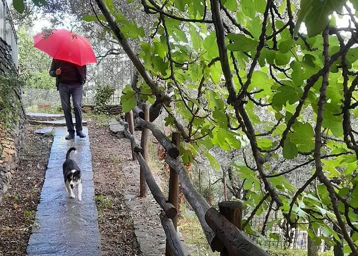 Casa Ninin * 알라시오