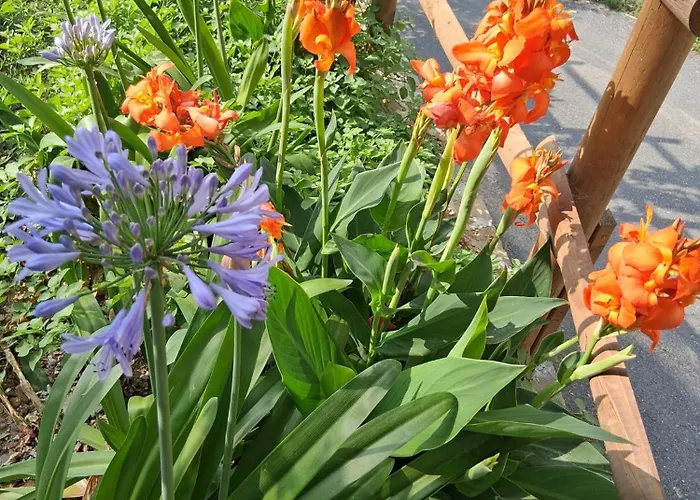 Apartment Casa Ninin Alassio