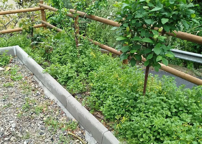 아파트 Casa Ninin